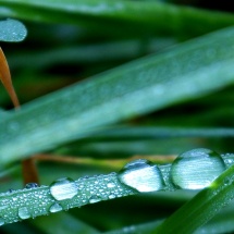 Photo Grzegorz Ziółkowski